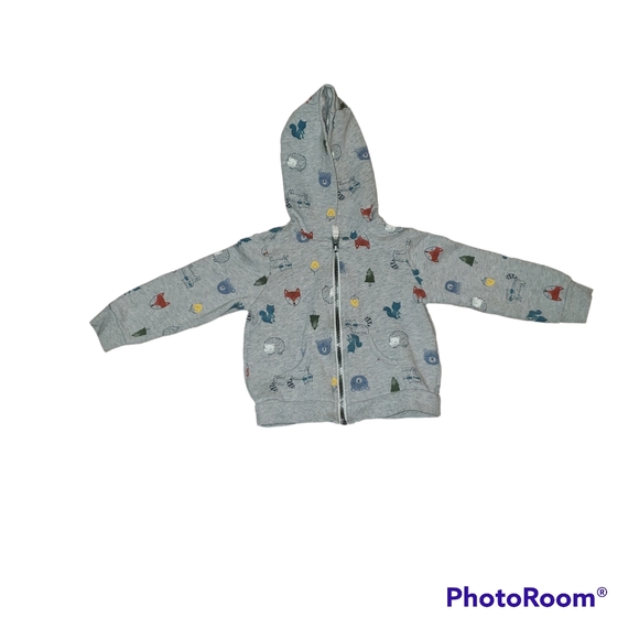 Carter's Hoodie, Size 24m - Picture 1 of 3